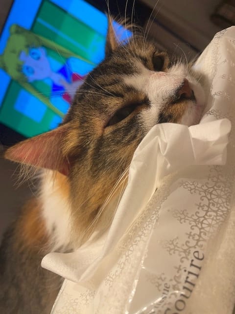 24日・(月)
今日は お休みでした

また更新します❤

あやの