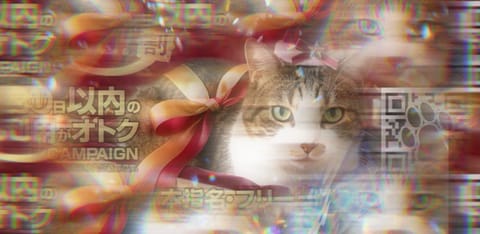 にゃん🐈🪄︎︎

なんと本指様も‼️

詳しくはHPから😉