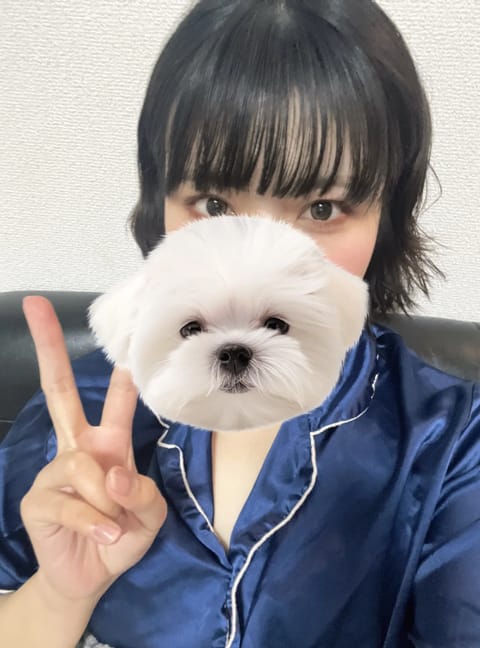 本日27:00までお部屋にいます🐕 ͗ ͗ ͗
癒されにきてね🫶