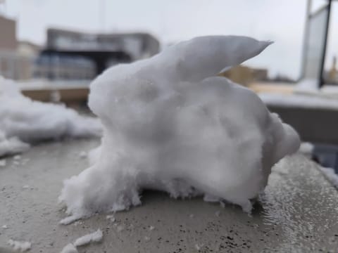 雪すごいね！！
東京でこんな降るの珍しい❄
雪だるま作った〜⛄🐰
日曜日だしあおいと遊んでください