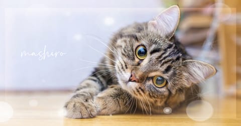 おはよう☀️
昨日も満枠ありがとうございました😊
本日も事前、当日予約ありがとう
ございます💖一緒に楽しい
まったぁりぃ