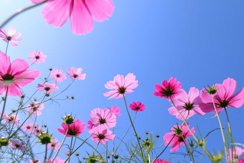 体調不良で昨日、今日とお休みさせて頂いております。
ご予約の皆さま本当に申し訳ありません。

土曜日まで休んで、元気にな