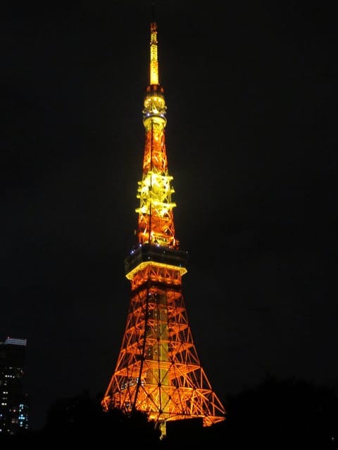 ここ最近数ヶ月デジカメの練習できてなかったので久しぶりに写真を撮りに行ってきました📸✨
またすぐ撮らないと腕が鈍る😿

