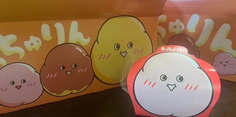 おうち帰ったらママが買ってきてくれてた🍩🤍
もっちゅりん久しぶり💖