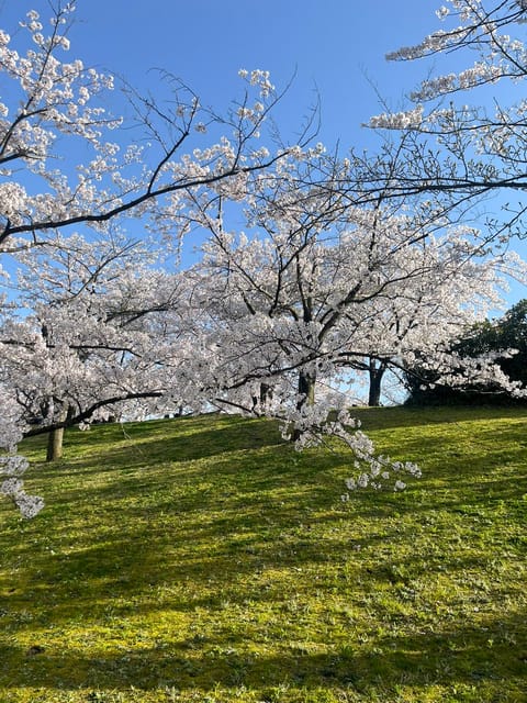 こんにちは✨
久しぶりの投稿になります♪

昨年の9月から福山市にご縁ができ新潟から来させてもらっています✨
こちらのお