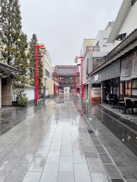 教員時代の同期と
西新井大師へ🌿
雪と桜のコラボレーションが
レアでした🌸⛄️👀

雨の日は実は厄除けに
適した日なのだ