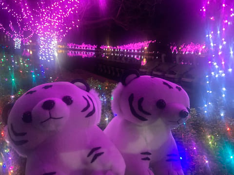 本日出勤🈵になってます🙇‍♀️
お問い合わせして下さりありがとうございます😭❤️
お会い出来るの楽しみ🥰✨
お気をつけて