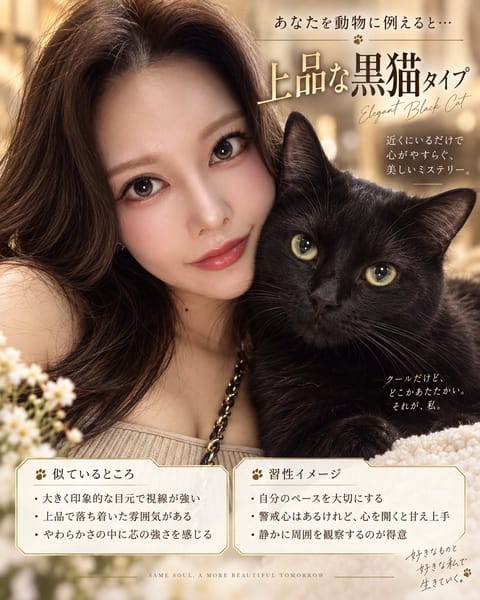 動物に例えたら黒猫タイプ🐈‍⬛でした♡