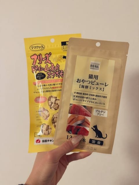 覚えてくれてて､嬉しすぎた🙏♥️

本日は雨の中､会いに来てくださり
ありがとう！🈵🈵🈵感謝です🐌

にゃあ 🐾