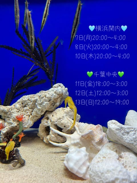 水族館行くとクラゲをずっと見てるのはこの私ですね、、😍💓
ゆっくり動いてる子達に癒されるのかもしれない🪼

週後半から天
