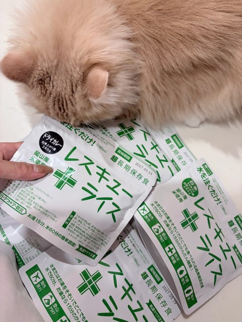 今日もありがとうございました！

明日は事前満です🙏💓
木曜日と土曜日も残り1枠ずつです☺️

今日防災の日ってテレビで