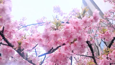 こんにちは〜🎵

今日は珍しい
日曜日の遅番🌃

連休最終日に
癒しの時間を過ごしに来てくださいね〜🫶😌