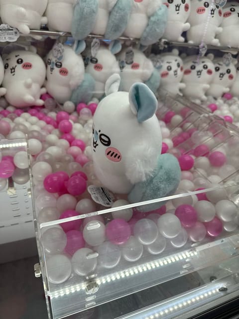 UFOキャッチをしたらまさかの
モモンガさんを立たせてしまいましたっ😤笑

もちろん取れなかったです…🥹涙
悔しいい😔