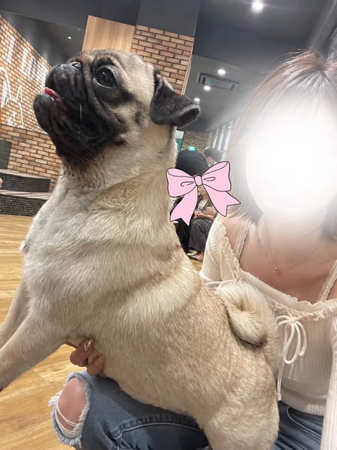おはよんー！
来週のシフト少し待っててね😭💦
体調みてまた出します💦

懐かしショート時代の玉森