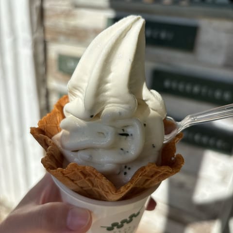 ちょっとドライブして🚗

生海ぶどうのアイス✨をぺろり😋

塩の味がイケてる！ぷちぷち感がたまらん

なんともいい天気だ