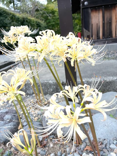 少し前にフラッとこの場所に

曇りだけど過ごしやすくて
彼岸花が咲いてて綺麗でした✨️

深呼吸してまたゆっくりと

ｰ
