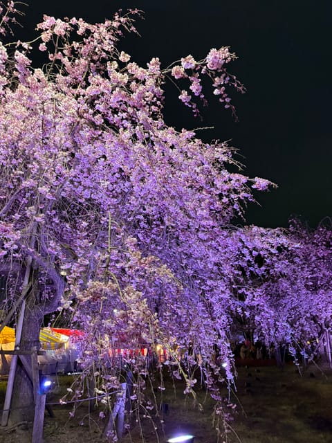 こんばんは🌛✨

今週初出勤です🥹
今日は19時～いてます🎶

天気微妙やし、かなりムシムシしますね…🌀
まだまだ書きた