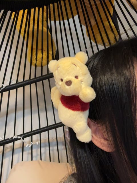 MP（メンタルポイント）が毒状態で削られてるからHPの容量が少なくなった上に回復しないんだよ、って言われてちょっと納得し