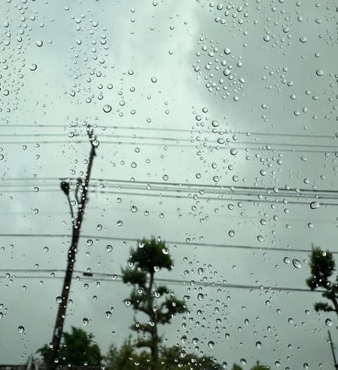 梅雨入りかな？ってぐらい雨降るね☔️🩵
髪の毛ごわごわになるけどやっぱり雨の日は落ち着く☺️🩵
出勤中🏃‍♀️💨