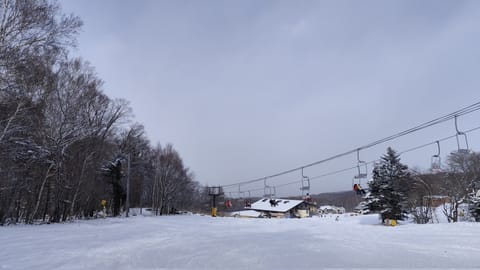 おはようございます☀️はなです🌷

朝方の氷点下の寒さに慣れない⋯🧊
東京から地元に帰った時のあのヒンヤリ感も未だに慣れ