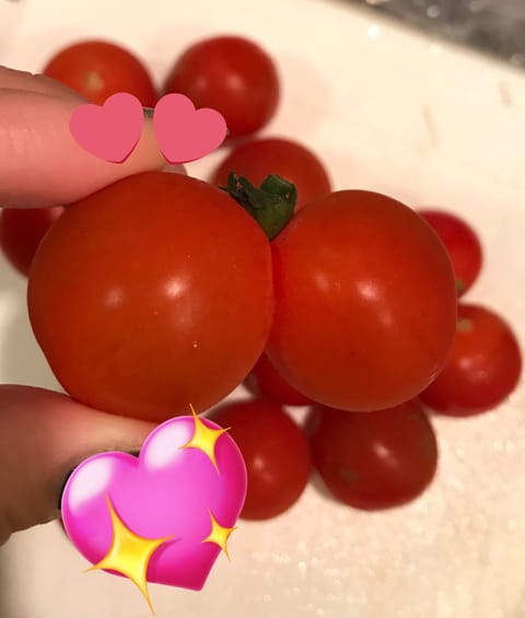 おはようございます☀
昨日いつもは出勤してる日だけど今日お仕事で早くてお休み頂きました😭
おうちでトマト洗ってたら双子ち