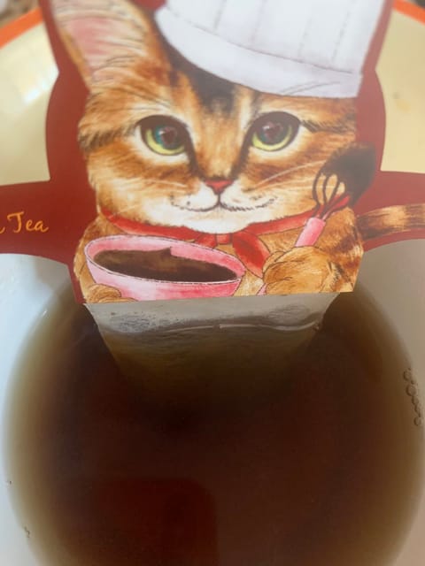おはようございます。
今日は雨模様ですね☔️

先日いただいたチョコレートフレーバーティ。
紅茶ですが香りがチョコです♪
