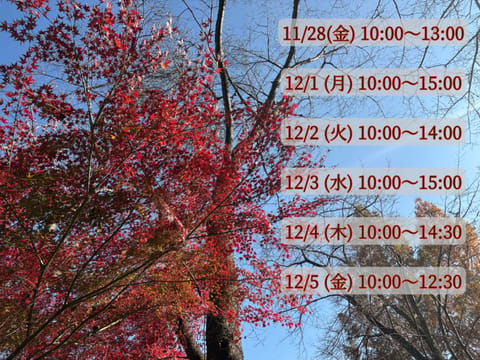 こんばんは🌙

久々の更新です🥺

先日、紅葉を見に行ってきました🍁

とても綺麗で癒されました✨

また行きたいな💗