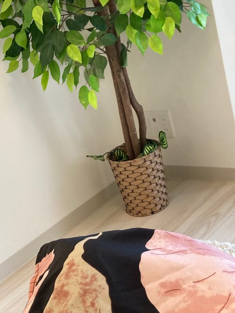 おはようございます♡

本日も10時〜15時出勤です♪

まだ今日は寒いですね、、
でも明日から暖かくなるかな😌🌸

今