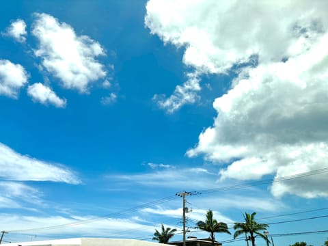 現地に着いたもののレンタカー借りたり高速爆走してたらそれらしい写真とれてないー　
　
そして車動かなくなるハプニング　
