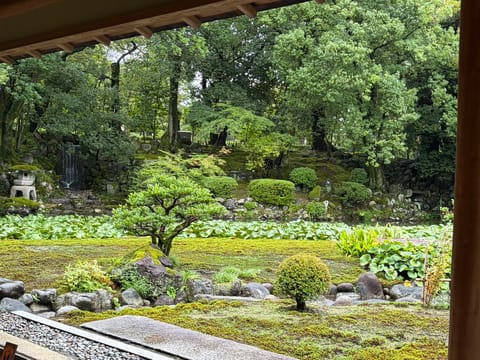 おはようございます(  ¯꒳​¯ )ᐝ

本日は
📍12:00- 笹塚      🆕
📍19:00-下北沢

お昼も急遽