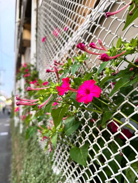 昨日もですが先週も足を運んでくださって
本当にありがとうございました😭😭😭
久々の呟きになってしまいました_(┐「ε:)