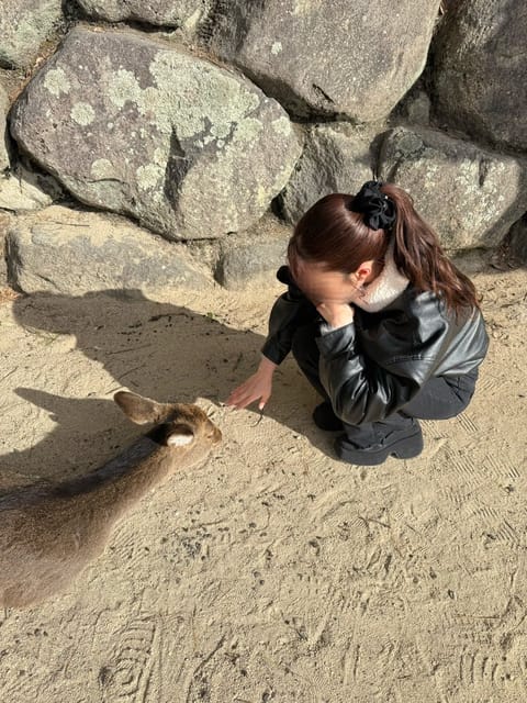 🦌と遊んだ✌︎·͜· ♡