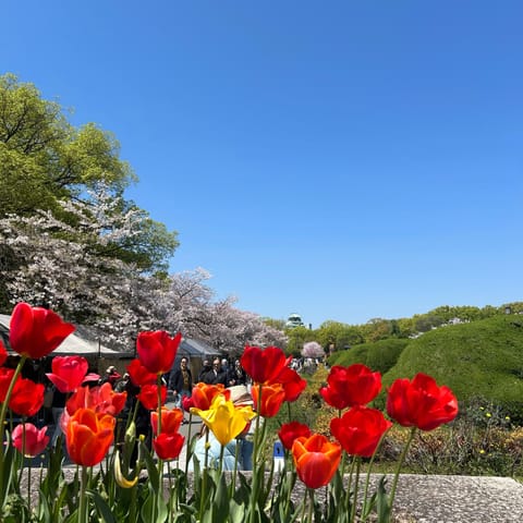 最近、パン屋さんを開拓して、推されてるパンを買って、お気に入りのマイボトルに入れたコーヒーを持って公園で景色を眺めながら