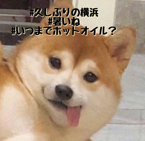 ごきげんようよう🐿
今日のアジトは横浜🐿
久しぶりすぎて行き方忘れてそう←
お昼ご飯はお弁当屋さんないからコンビニ…(´