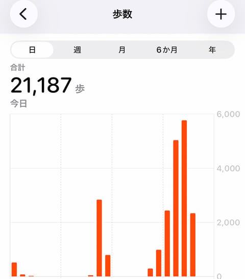 おはようございます🌤️️

この気持ちのいい風が吹いている時期の夜のお散歩が好きなのですが、先日気が付いたら2万歩超えて