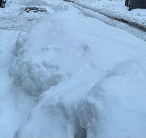 雪かきのお話を伺って🪏

腰など痛めないよう
どうかお気をつけください🙏