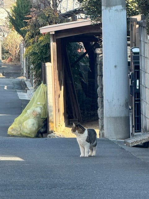 みなさん火鍋行ったことある？？
この前火鍋デビューしたの笑
辛いの大好きなの美味しいとこ教えてくださいっ🎀
1枚目はこの
