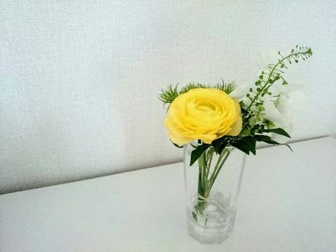 次の出勤は29日（金）
10時から池袋ルームです。
皆さまに会えたら嬉しいです❤︎