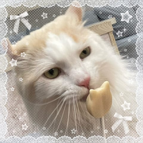ゆきなです💖
本日20:30〜います💕