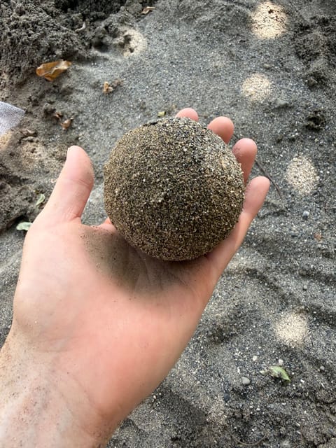 念願の
泥だんご作りました

海に行きたくなった🏖️
東京の砂場、柵付いてるの多いのなぜ？

高円寺のタコス屋さん美味し