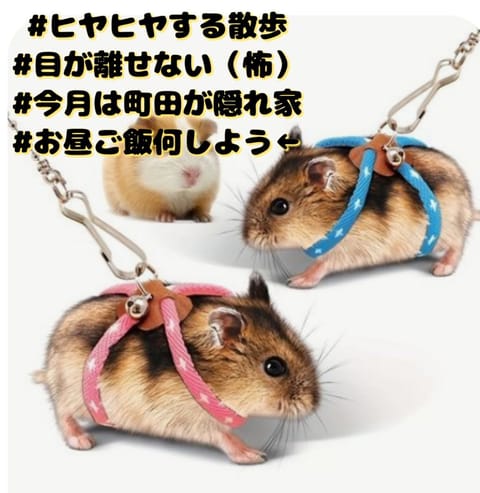 皆さんごきげんようよう🐿
気付いたら5月ですね🐿
早いですね🐿
先日は、たぬき顔が好きな殿が
ご来場下さいました（笑）

