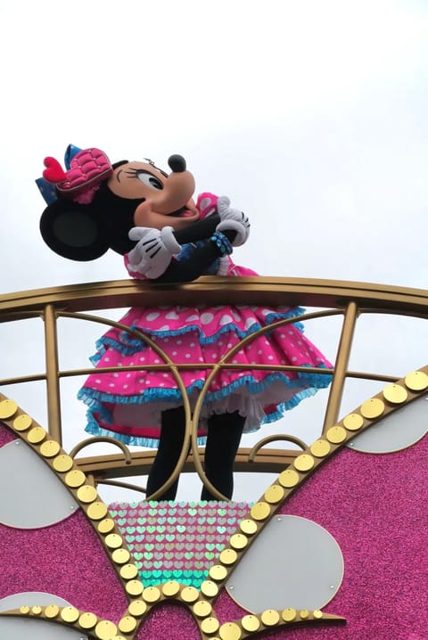ディズニーから帰ってきたら12時間以上寝ちゃってた疲れた❣️❣️いい意味で❣️