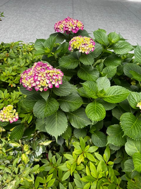 おはようございます☁️
今週末は
29(金)21:00〜2:00
30(土)14:00〜19:00
といつもと違う出勤時