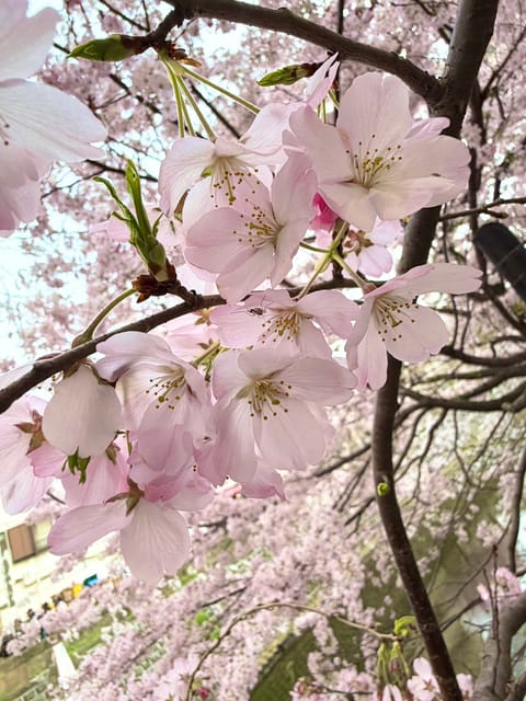 2.3月度もたくさんの
💖本指名様🍀ご新規様が指名してくださってご来店して下さり
ありがとうございました🫶

毎出勤本指