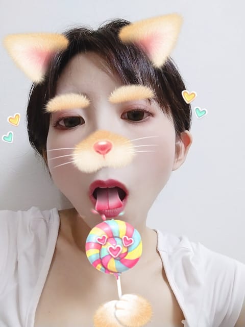 ネコ(=^･^=)