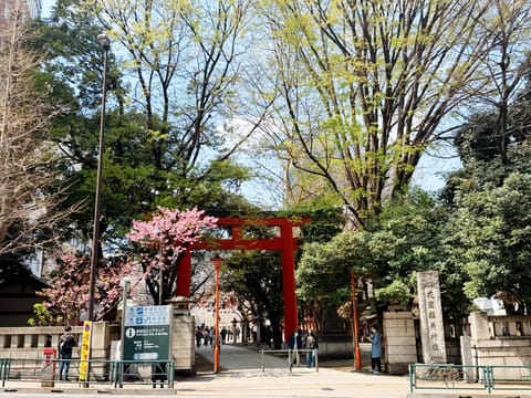 花園神社の桜がキレイだった🌸✨
さくら祭りいきたいな𐔌՞･·･՞𐦯 🌸