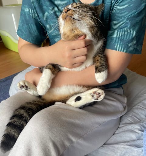 仕事を兼業してる私
でも1番大切なのは勿論うちの子🐈🐈💖
この子達の為に働いてるのだ💪

そして今日は年に1回のネコの健