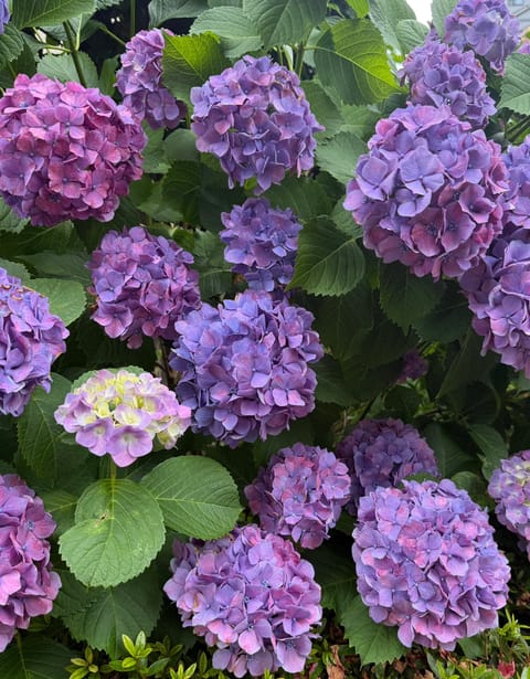 おはよう♡