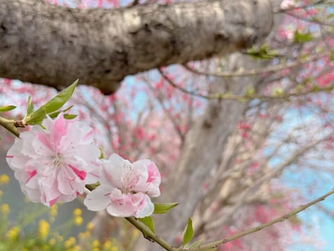 こんにちは！
最近雨が多いですね…☂️
ただ段々と暖かくなってきたので、お外歩くのが気持ちいいです(*´˘`*)

私も