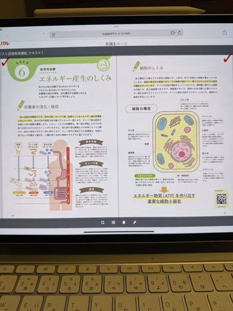 お勉強しよ〜ᝰ✍️